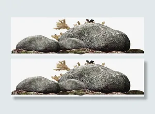 高清摄影海边的礁石珊瑚免抠