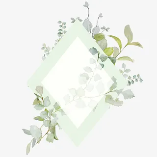 花瓣叶子框架装饰素材免抠