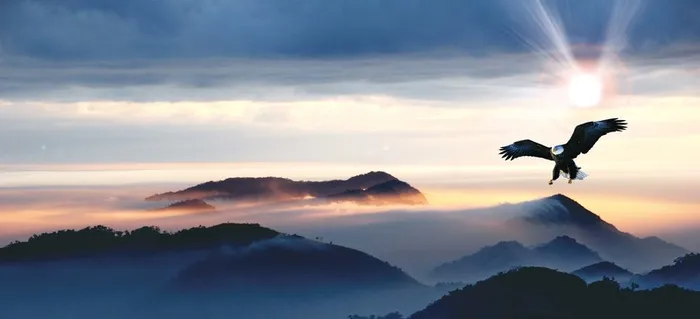 商务背景高清商务科技背景