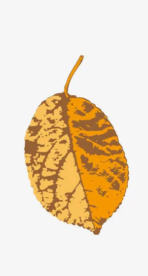 树叶免抠 树叶免抠