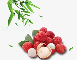 绿叶荔枝免抠