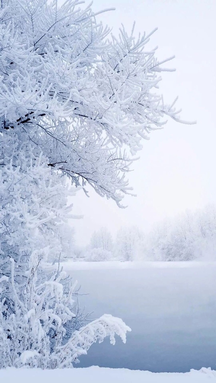 冰天雪地H5背景高清