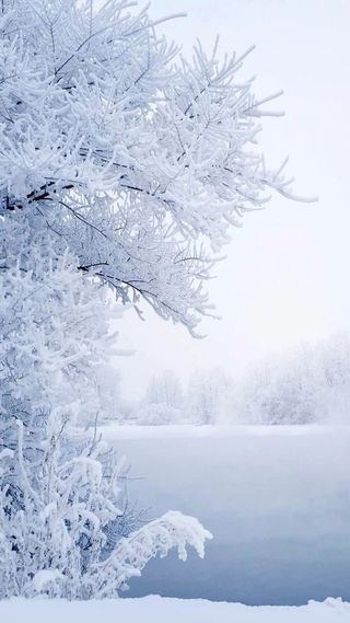 冰天雪地H5背景高清