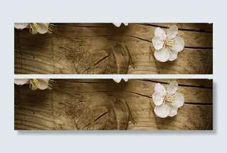 花卉 鲜花 清新 植物 樱花 美丽 浪漫 梦幻  春天高清