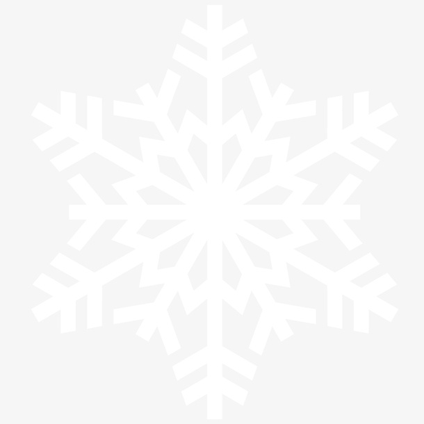一片雪花细节放大免抠