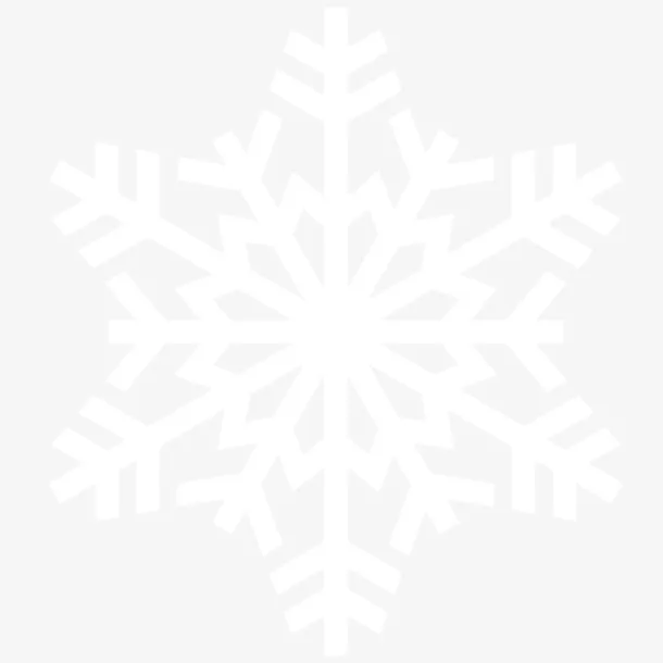 一片雪花细节放大免抠