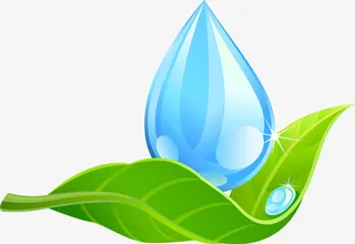 卡通绿叶与水滴素材图免抠