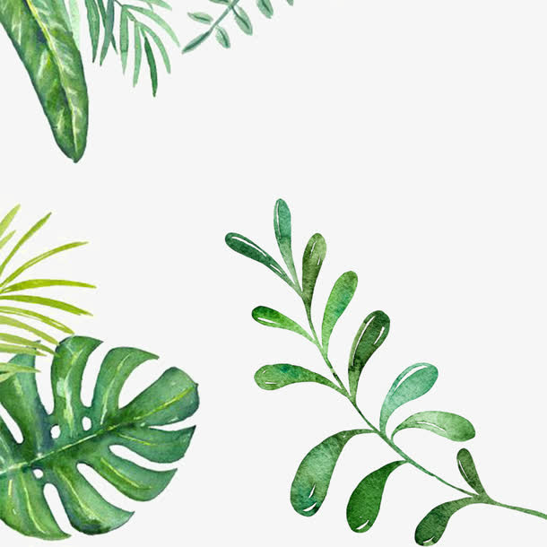 清新水彩叶子边框矢量素材免抠手绘/卡通卡通元素