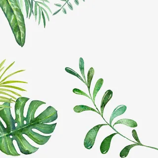 清新水彩叶子边框矢量素材免抠手绘/卡通卡通元素