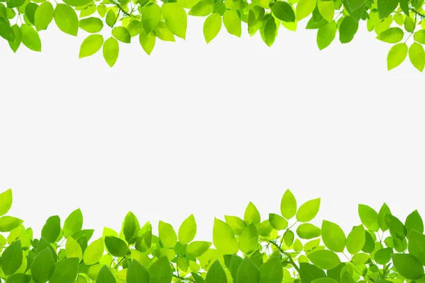 绿色花边素材免抠