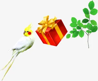 鸟礼物树枝装饰元素免抠