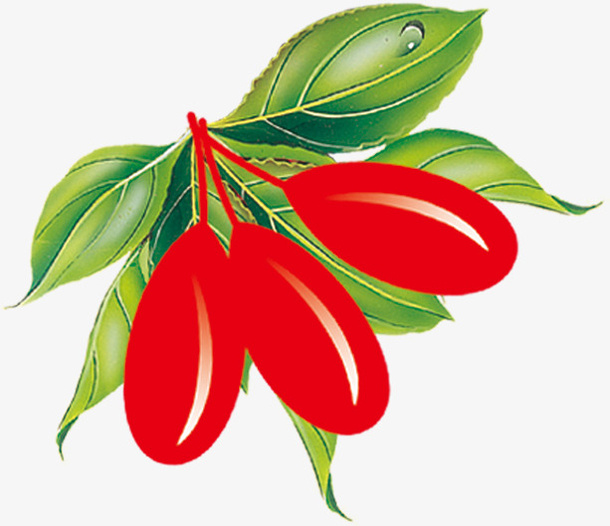 彩色手绘枸杞免抠