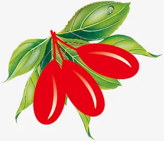 彩色手绘枸杞免抠