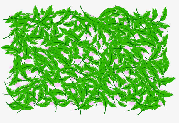 矢量绿色植物叶片免抠