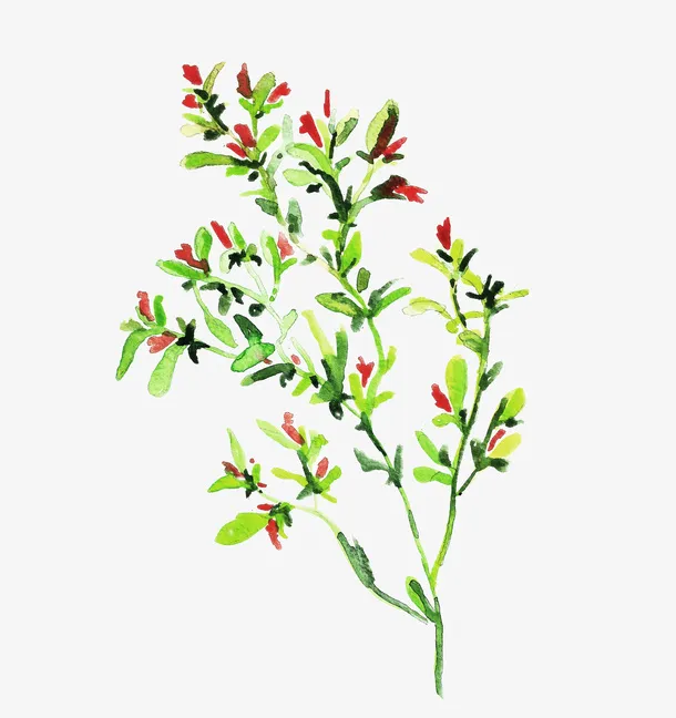 手绘树枝免抠