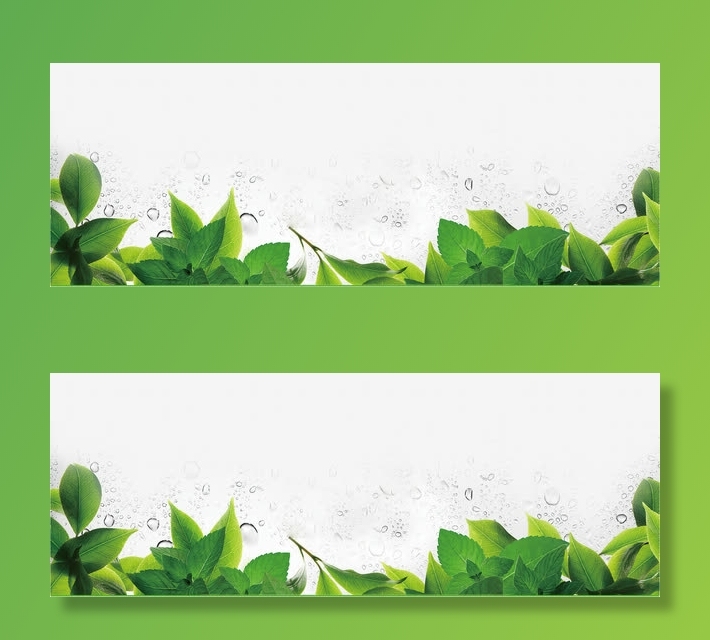 绿叶美景树叶装饰免抠装饰植物元素