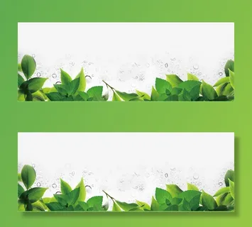 绿叶美景树叶装饰免抠装饰植物元素