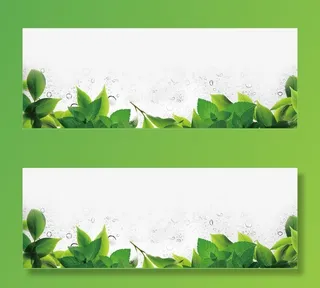 绿叶美景树叶装饰免抠装饰植物元素