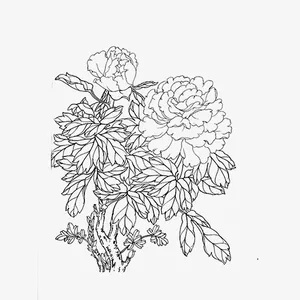 卡通手绘牡丹免抠