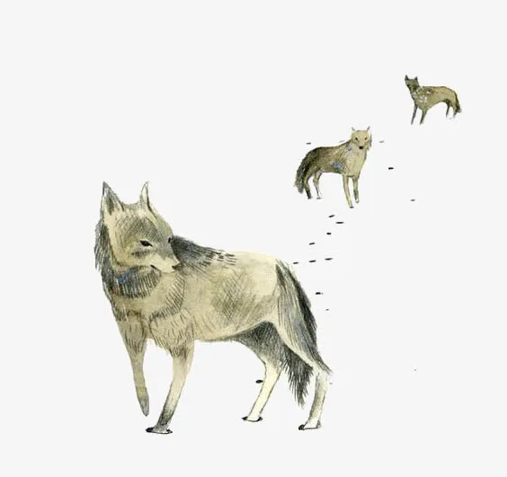 手绘狼免抠