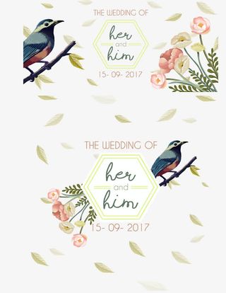 彩绘花朵小鸟免抠