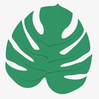 绿色分叉的树叶免抠