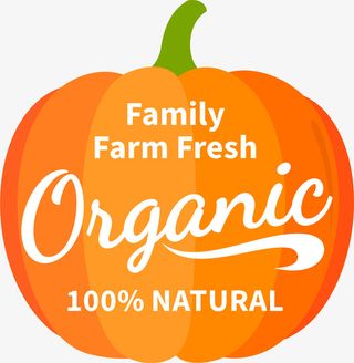 扁平化南瓜标签免抠