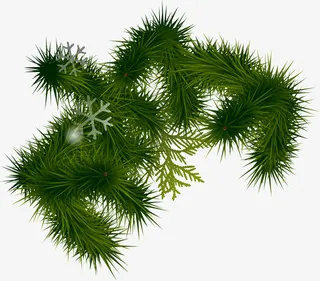 圣诞节绿色松叶装饰免抠