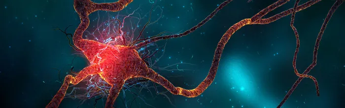 细菌生物化学海报背景图高清