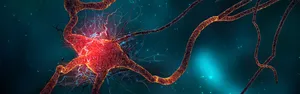 细菌生物化学海报背景图高清