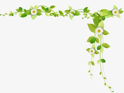 春季绿色树叶白色雏菊免抠