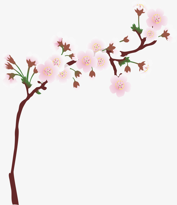 樱花树枝免抠