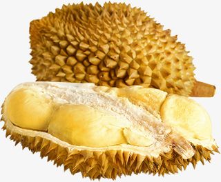 榴莲水果蔬菜PNG素材免抠