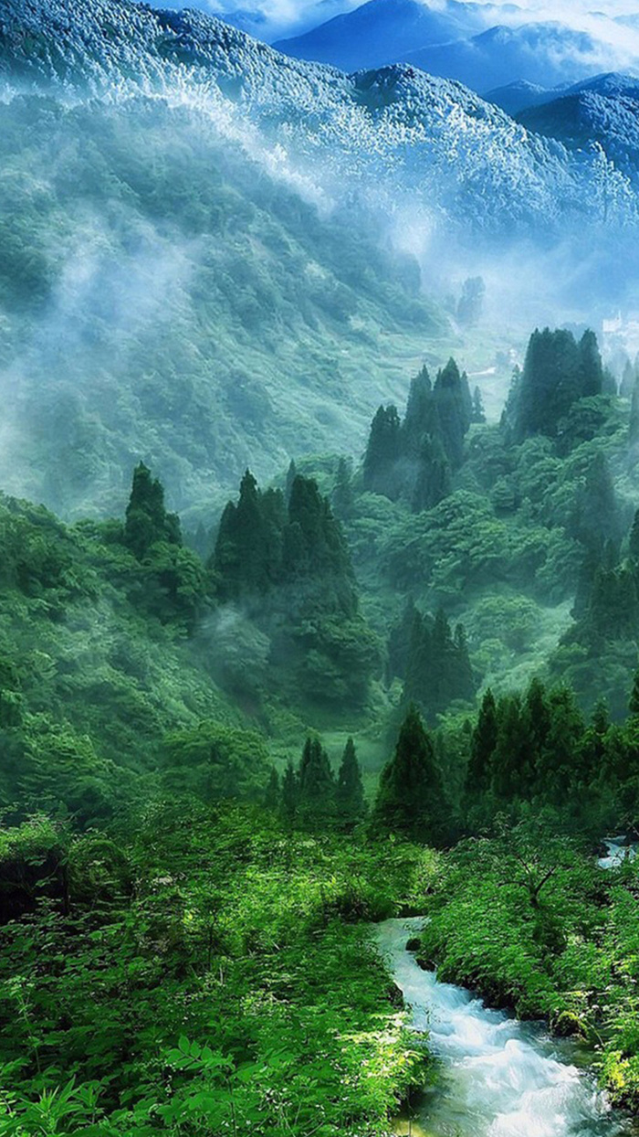 山林里的河流H5背景高清