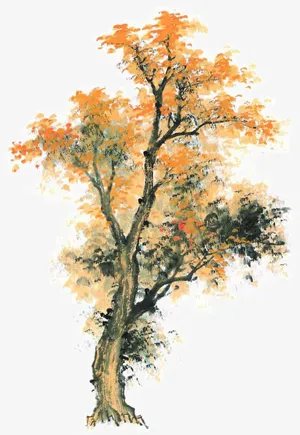 秋天枫树手绘免抠