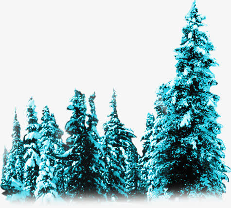 蓝色高清冬季雪花大树免抠