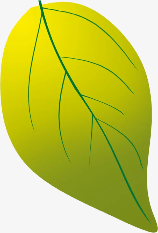 彩绘例会绿色植物叶子光效叠加免抠