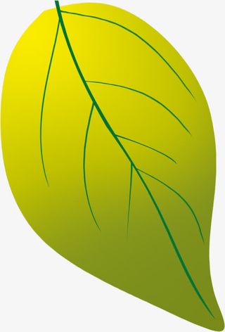 彩绘例会绿色植物叶子光效叠加免抠