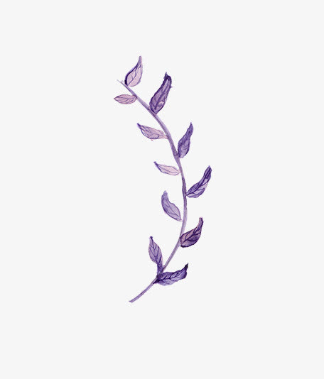 圣诞节手绘花纹素材免抠