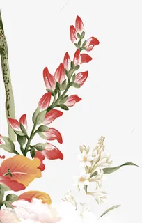 水墨平面简约花束树枝装饰图案免抠