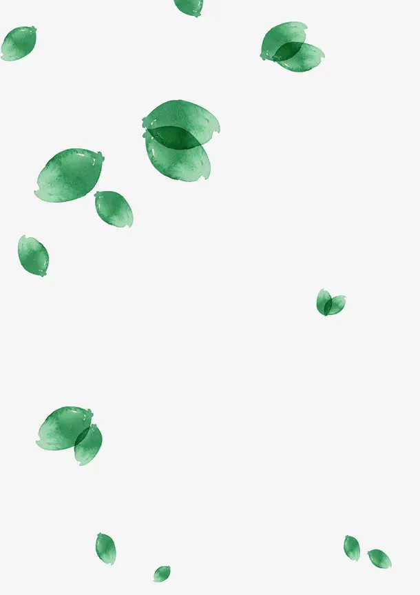 漂浮的树叶免抠