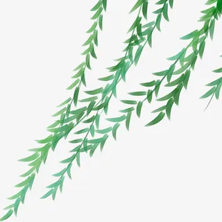 绿色清新装饰柳叶装饰图免抠