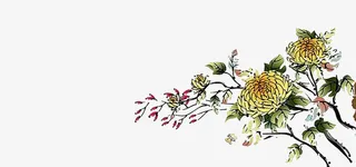 中国风水墨菊花背景