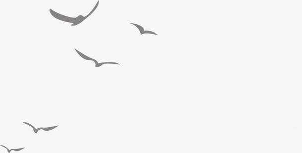 大雁 古风 国潮 雁群装饰免抠