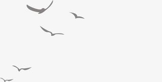 大雁 古风 国潮 雁群装饰免抠