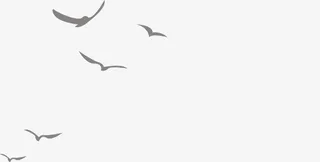 大雁 古风 国潮 雁群装饰免抠