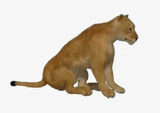 黄色老虎表情狰狞免抠