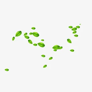 绿色叶子素材下载免抠手绘/卡通卡通元素