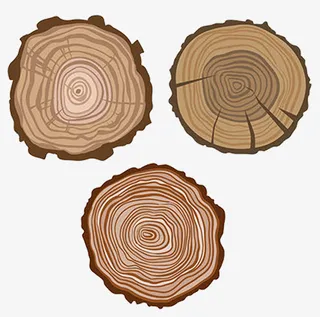 树的年轮图形免抠