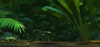 绿色植物背景装饰高清